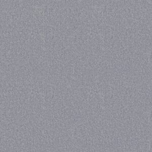 Shaw Floors Carpet Dyersburg Classic 15' Silver Bay 55500_E0948