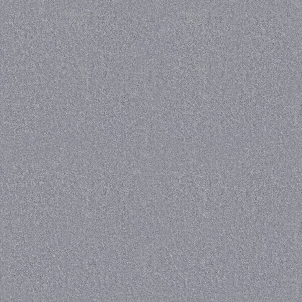 Shaw Floors Carpet Dyersburg Classic 15' Silver Bay 55500_E0948