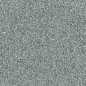 Shaw Floors Carpet Dyersburg Classic 15' Castle Grey 55501_E0948