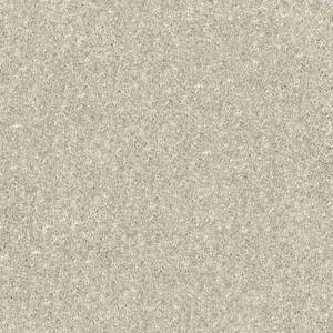 Shaw Floors Carpet Dyersburg Classic 15' Dove 55700_E0948