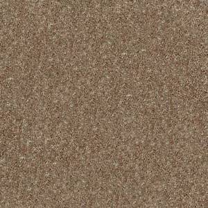 Shaw Floors Carpet Dyersburg Classic 15' Driftwood 55720_E0948