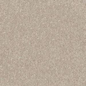 Shaw Floors Carpet Dyersburg Classic 15' Plaster 55752_E0948