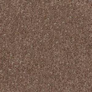 Shaw Floors Carpet Dyersburg Classic 15' Winter Wheat 55791_E0948