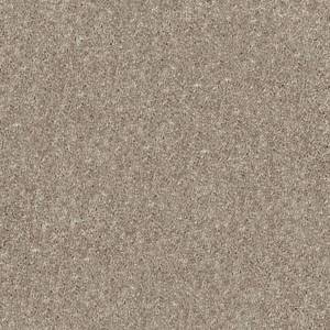Shaw Floors Carpet Dyersburg Classic 15' Taupe Mist 55792_E0948
