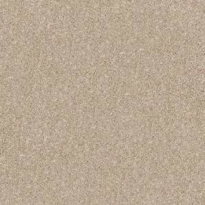 Shaw Floors Carpet Dyersburg Classic 15' Dusty Trail 55793_E0948