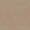 Shaw Floors Carpet Newbern Classic 12' Sand Dollar 00116_E0949