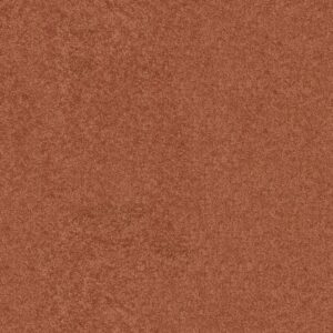 Shaw Floors Carpet Newbern Classic 12' Sunburst 00630_E0949