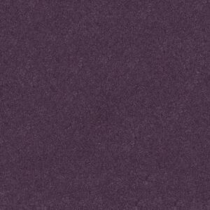 Shaw Floors Carpet Newbern Classic 12' Violet Crush 00930_E0949