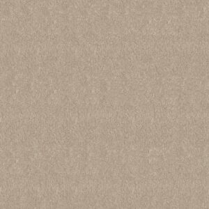 Shaw Floors Carpet Newbern Classic 12' Taupe 55105_E0949