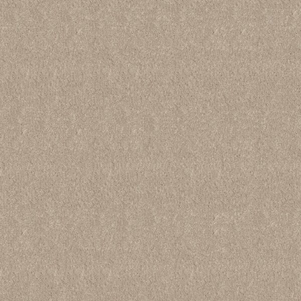 Shaw Floors Carpet Newbern Classic 12' Taupe 55105_E0949