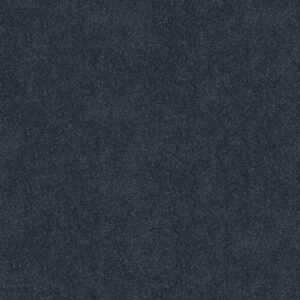 Shaw Floors Carpet Newbern Classic 12' Colonial 55401_E0949