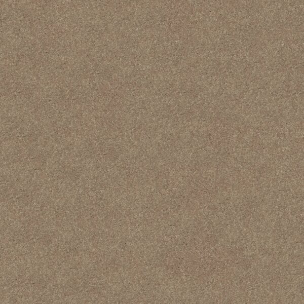 Shaw Floors Carpet Newbern Classic 12' Plaster 55752_E0949