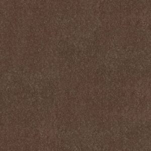 Shaw Floors Carpet Newbern Classic 12' Winter Wheat 55791_E0949
