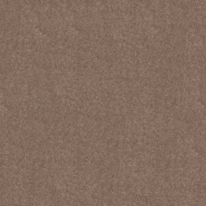 Shaw Floors Carpet Newbern Classic 12' Taupe Mist 55792_E0949