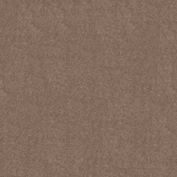 Shaw Floors Carpet Newbern Classic 12' Taupe Mist 55792_E0949