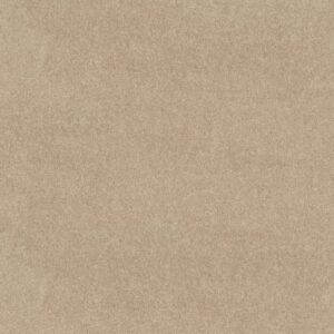 Shaw Floors Carpet Newbern Classic 15' Crisp Linen 00109_E0950