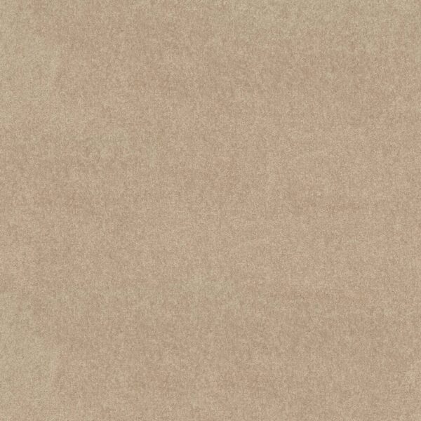 Shaw Floors Carpet Newbern Classic 15' Crisp Linen 00109_E0950