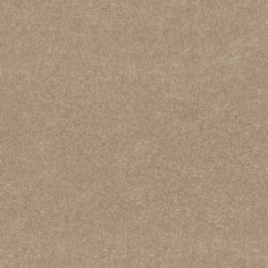 Shaw Floors Carpet Newbern Classic 15' Sand Dollar 00116_E0950