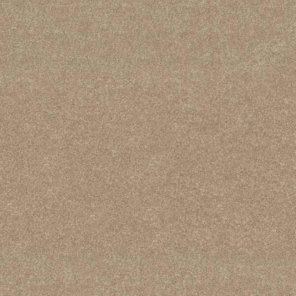 Shaw Floors Carpet Newbern Classic 15' Sand Dollar 00116_E0950