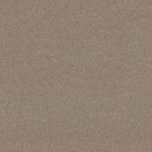 Shaw Floors Carpet Newbern Classic 15' Antique Silk 00131_E0950