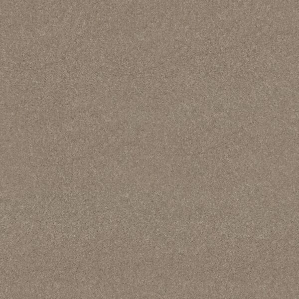 Shaw Floors Carpet Newbern Classic 15' Antique Silk 00131_E0950