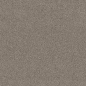 Shaw Floors Carpet Newbern Classic 15' Pebble Path 00132_E0950