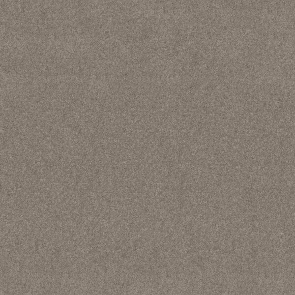 Shaw Floors Carpet Newbern Classic 15' Pebble Path 00132_E0950