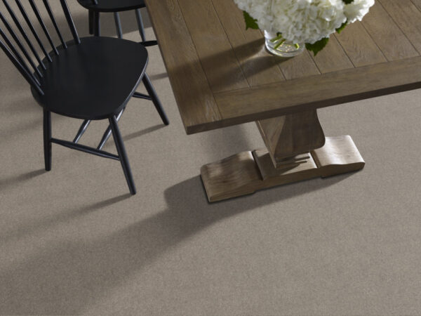 Shaw Floors Carpet Newbern Classic 15' Pebble Path 00132_E0950 - Image 2