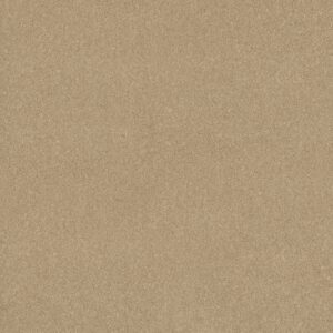 Shaw Floors Carpet Newbern Classic 15' Casual Cream 00230_E0950