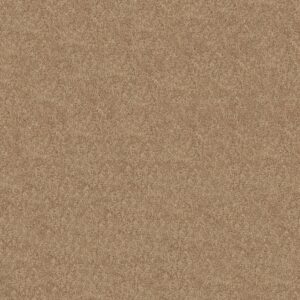 Shaw Floors Carpet Newbern Classic 15' Straw Hat 00260_E0950