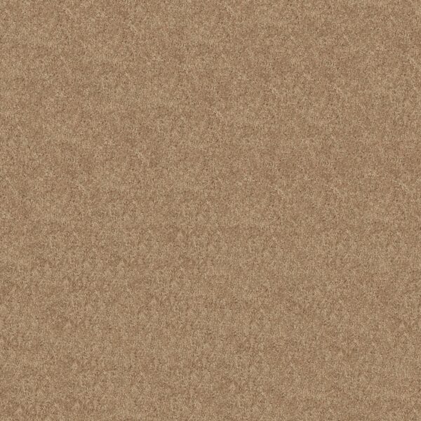 Shaw Floors Carpet Newbern Classic 15' Straw Hat 00260_E0950