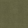 Shaw Floors Carpet Newbern Classic 15' Going Green 00330_E0950