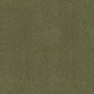 Shaw Floors Carpet Newbern Classic 15' Going Green 00330_E0950