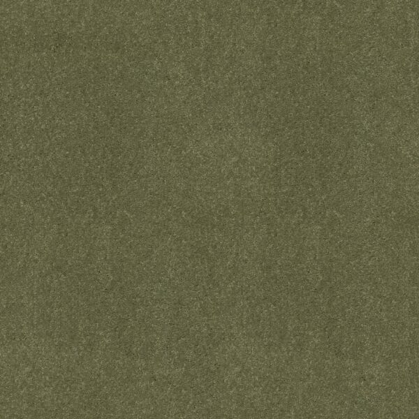 Shaw Floors Carpet Newbern Classic 15' Going Green 00330_E0950