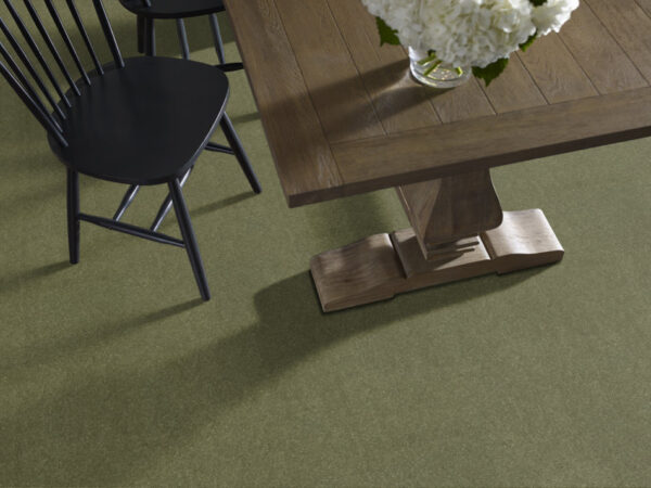 Shaw Floors Carpet Newbern Classic 15' Going Green 00330_E0950 - Image 2