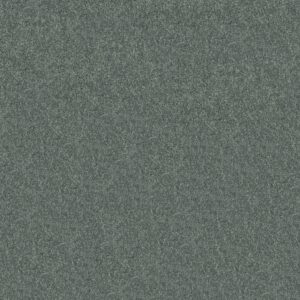 Shaw Floors Carpet Newbern Classic 15' Bahama Bay 00454_E0950