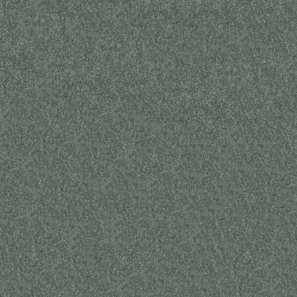 Shaw Floors Carpet Newbern Classic 15' Bahama Bay 00454_E0950