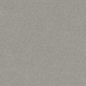 Shaw Floors Carpet Newbern Classic 15' Morning Fog 00530_E0950