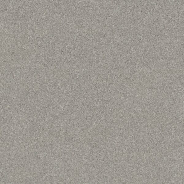 Shaw Floors Carpet Newbern Classic 15' Morning Fog 00530_E0950