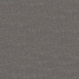 Shaw Floors Carpet Newbern Classic 15' Haze 00531_E0950