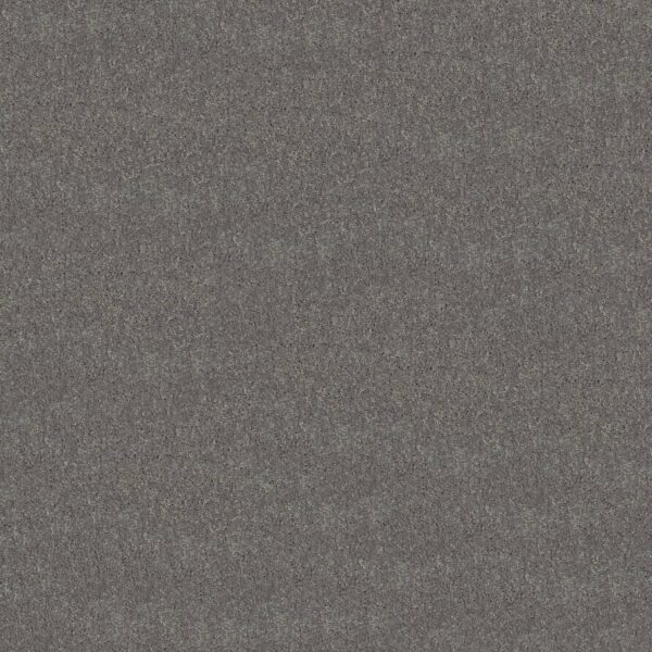 Shaw Floors Carpet Newbern Classic 15' Haze 00531_E0950