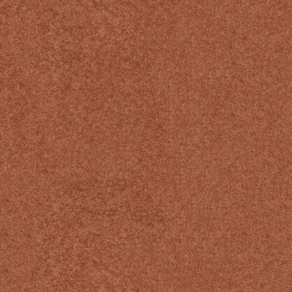 Shaw Floors Carpet Newbern Classic 15' Sunburst 00630_E0950