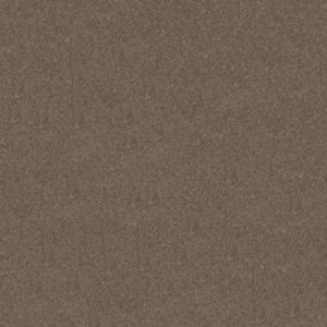 Shaw Floors Carpet Newbern Classic 15' Suede 00731_E0950