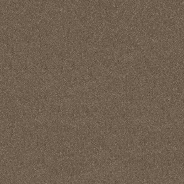 Shaw Floors Carpet Newbern Classic 15' Suede 00731_E0950