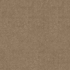 Shaw Floors Carpet Newbern Classic 15' Fossil 00761_E0950