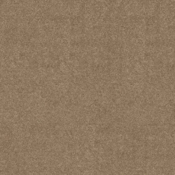 Shaw Floors Carpet Newbern Classic 15' Fossil 00761_E0950