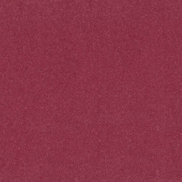 Shaw Floors Carpet Newbern Classic 15' Sassy Pink 00830_E0950