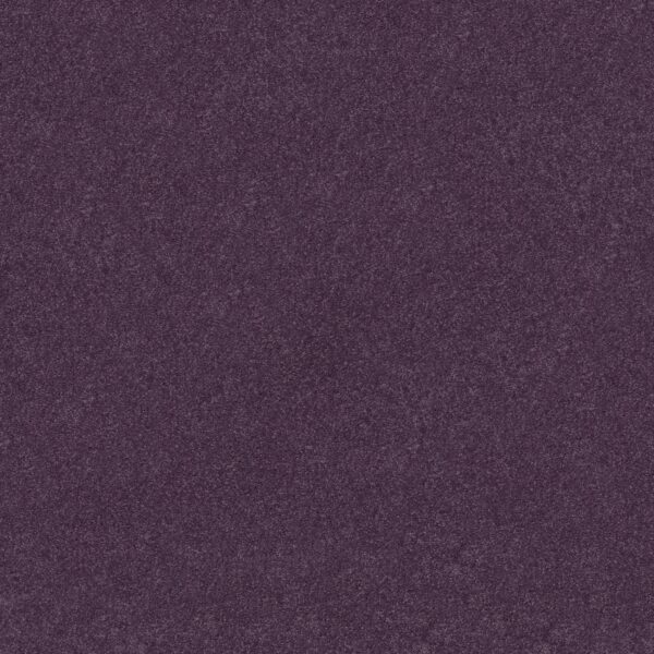 Shaw Floors Carpet Newbern Classic 15' Violet Crush 00930_E0950
