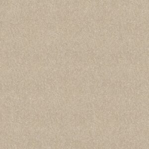Shaw Floors Carpet Newbern Classic 15' Ivory Tint 55101_E0950