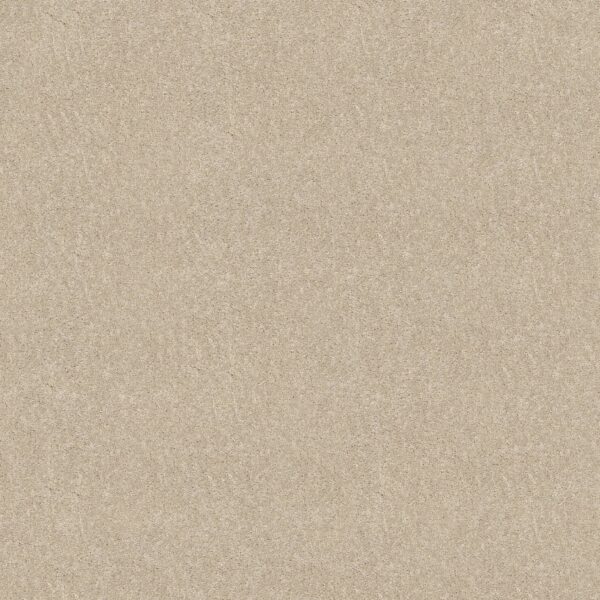 Shaw Floors Carpet Newbern Classic 15' Ivory Tint 55101_E0950